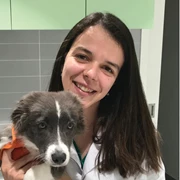 Dra Joana Gomes