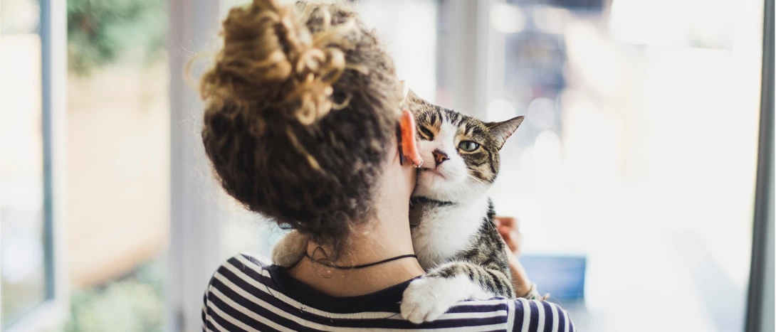 Nomes para gatos e gatas
