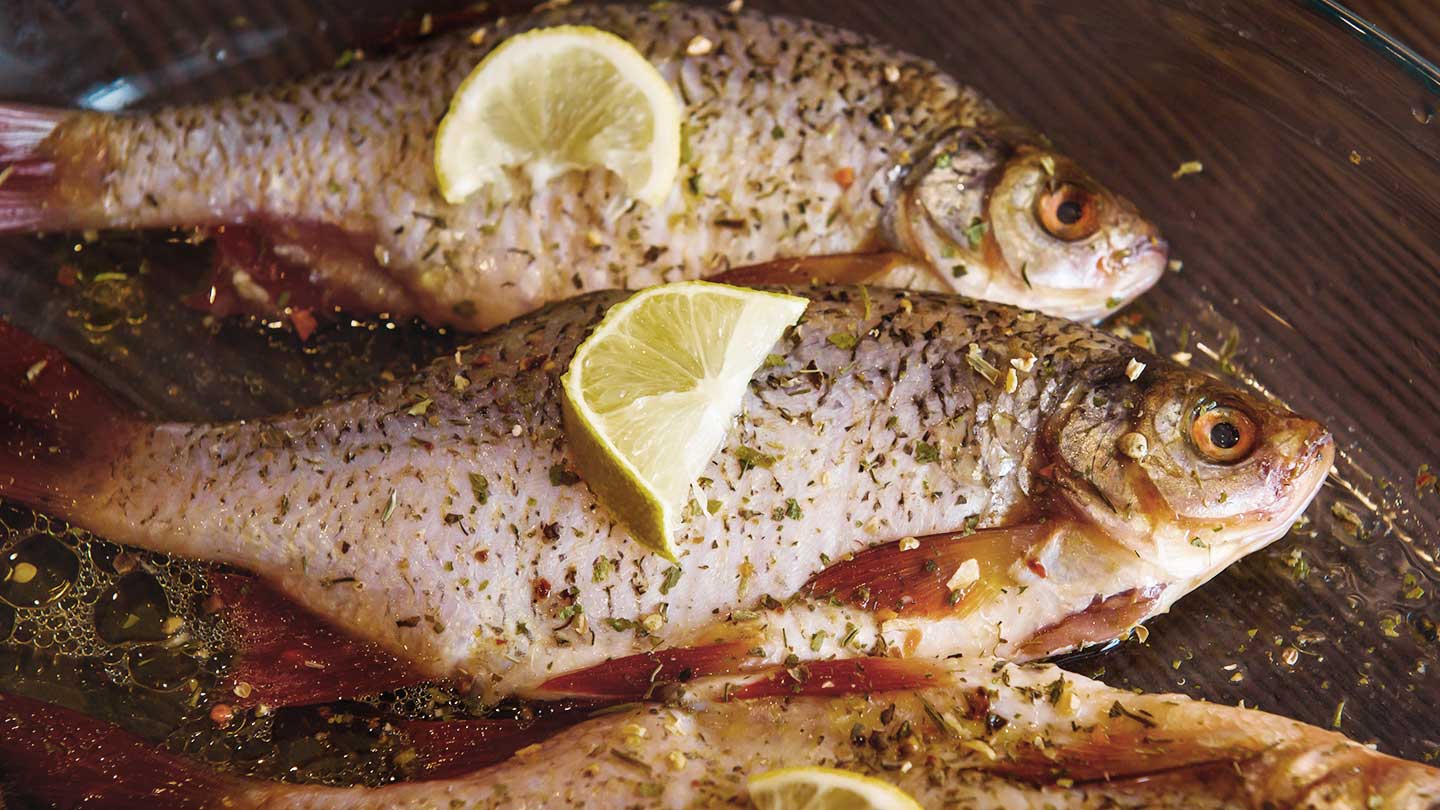 Peixe Perca: Benefícios e Receitas