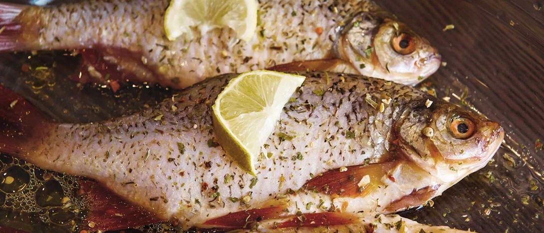 Peixe Perca: Benefícios e Receitas