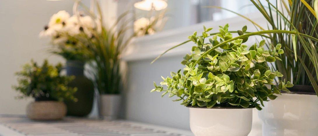 Plantas Artificiais